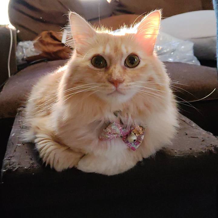 2d37da5f c5e2 4287 9322 714ac7755b57 1663279535642