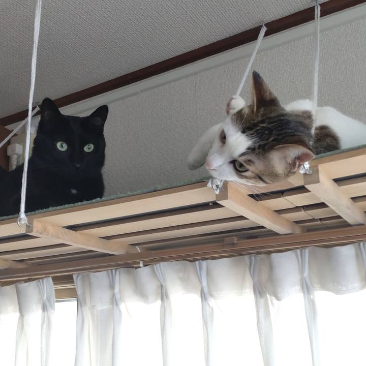 2d37dd36 a259 478f 8179 94dca5c8d8e6 1672443931469