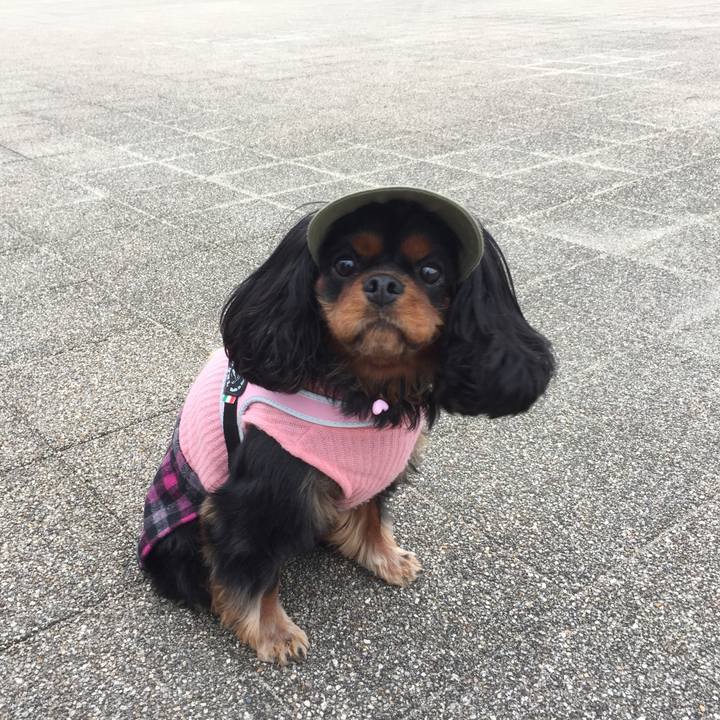 2d3832ae 5516 4c32 a1eb 62bd0f7709c0 1514485343773