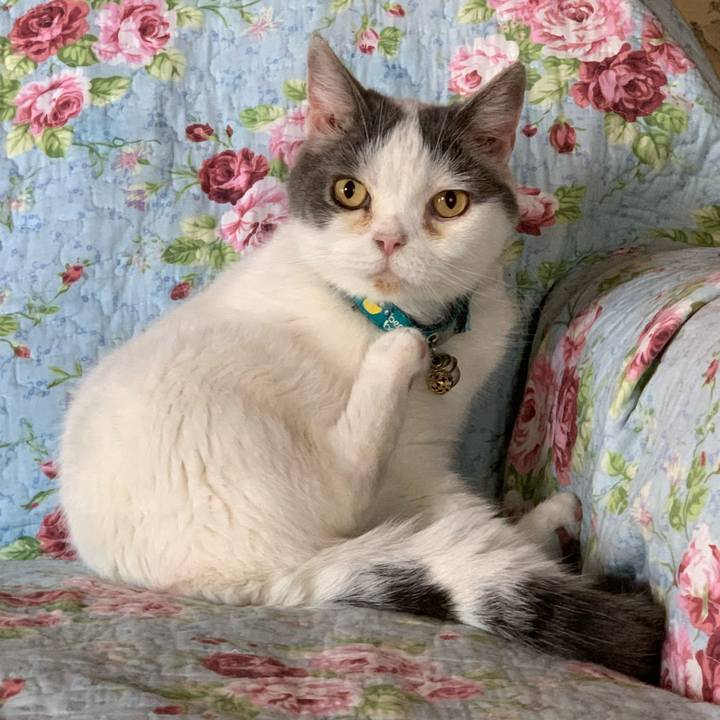 2d38409c af59 41c1 8d89 2973f22e7b5c 1698886683665