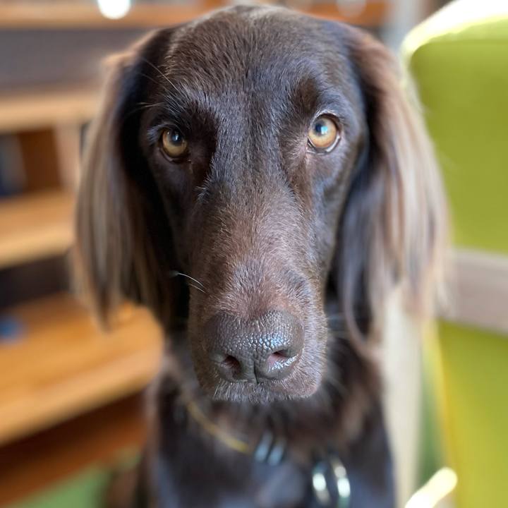 2d3857d7 6041 46ea 99ad 63ca2a83e44e 1605413250363