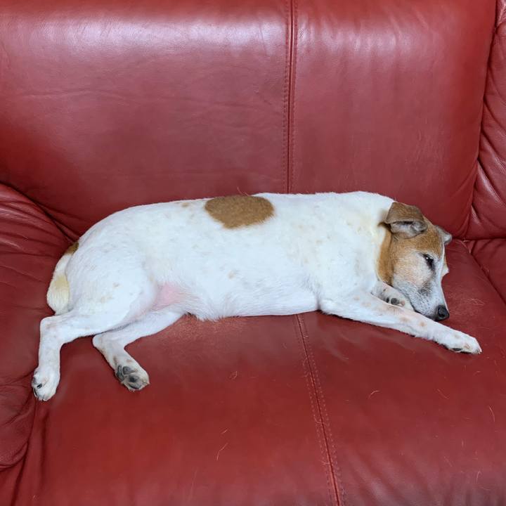 2d3869a4 c9a4 4a2a a3a9 87fd19700ef9 1595251857352