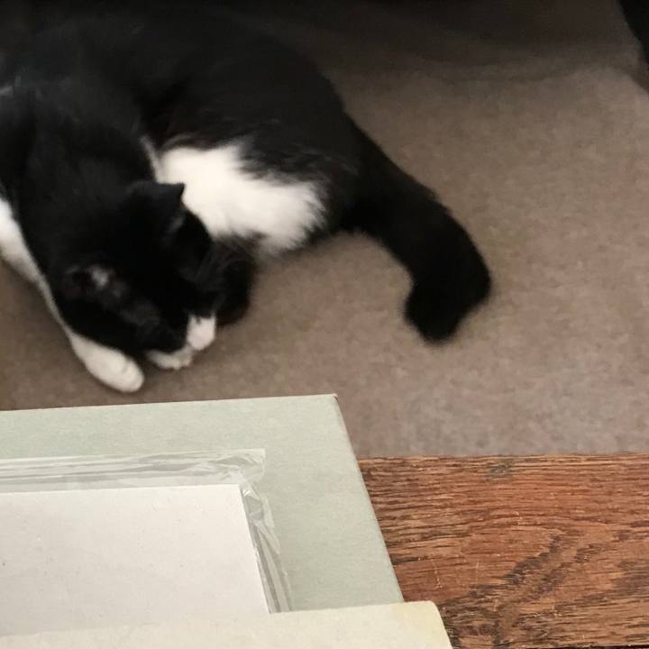 2d38948d 4ff6 4cd2 ac92 76848c11d99b 1550289817307