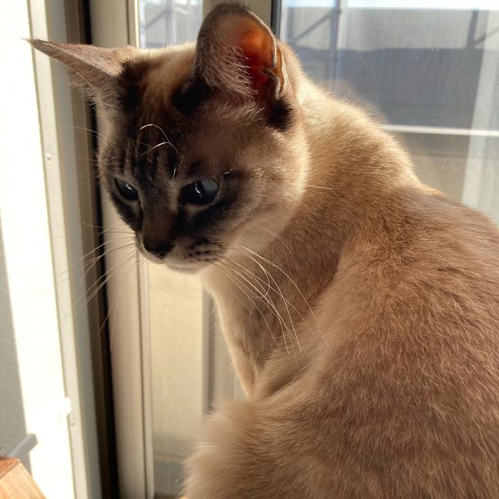 2d389cb1 8ff3 45fb 8b7a ff29e1613342 1740795858411