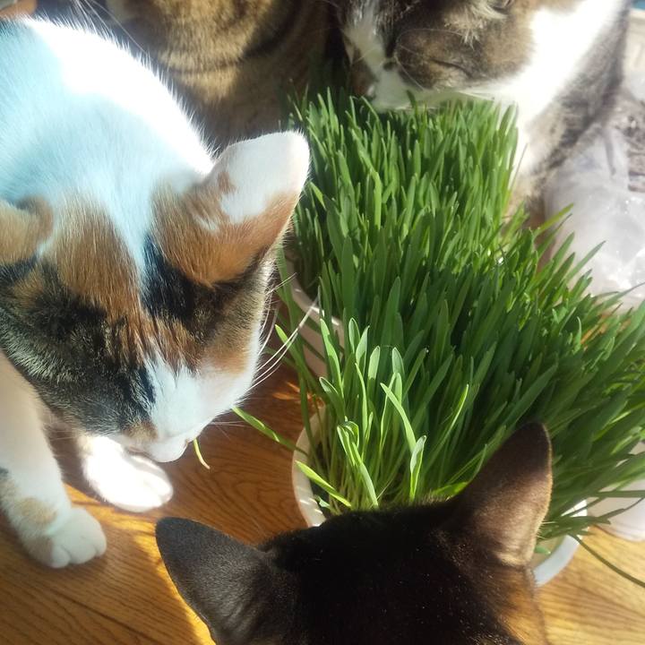 2d38a185 5f9f 4730 a23b 0872f7fdf231 1676433715666