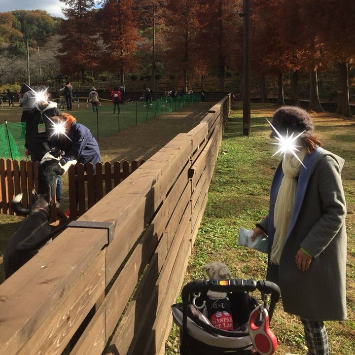 2d38a6e6 9d64 40f8 b17c 60052703f56b 1511093180385