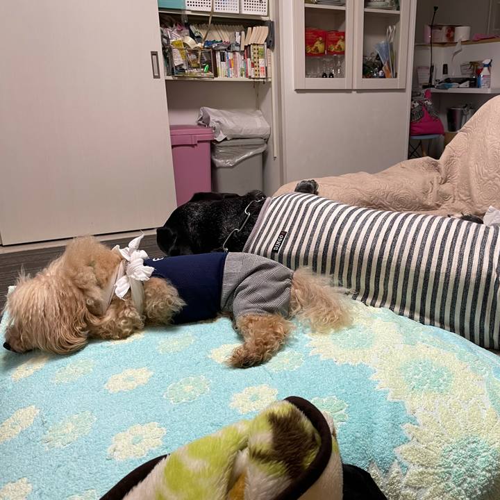 2d39242c 07c9 42c7 9728 f4bcef6eeeb0 1619870430201