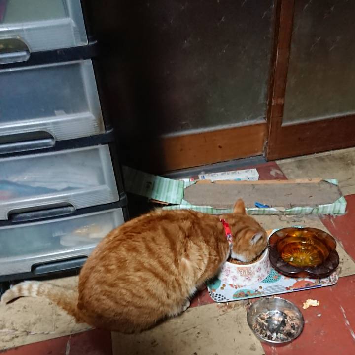 2d3929d4 32c1 443f b539 393a8a147bb5 1578685552704