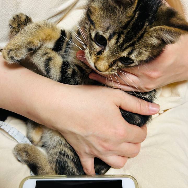 2d39564f 09da 4387 af7d a143de4675cb 1725970450366