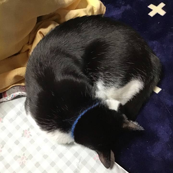 2d397d28 5cf1 4325 9b38 01661e0d8e40 1707099909557