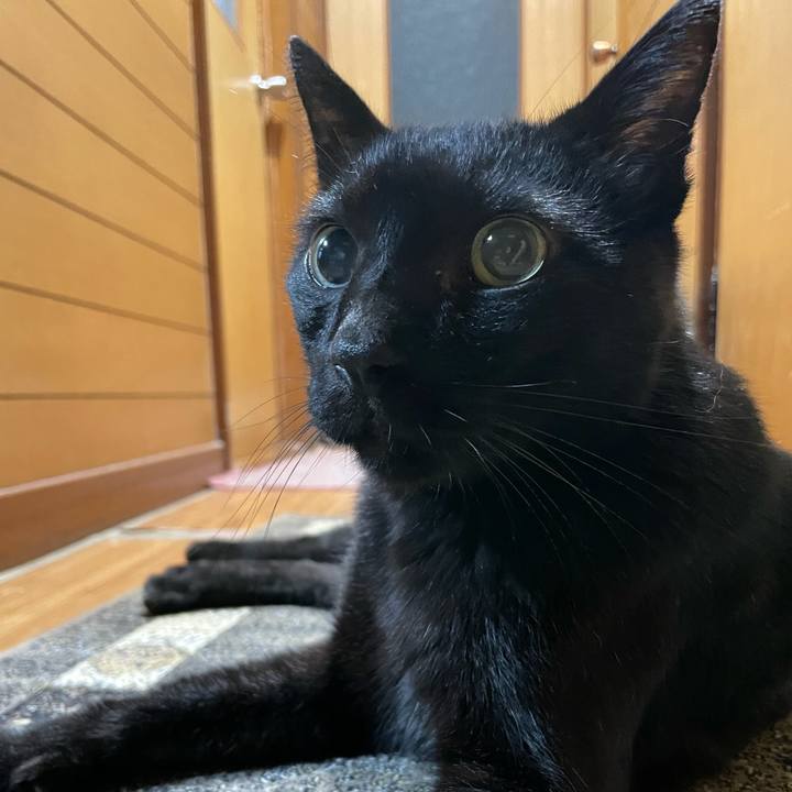 2d39bcf1 a8a2 4118 a2db e26423575da2 1632791630688