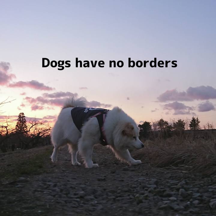 2d39db19 43a6 484b b96e acd68dc710af 1646974256876