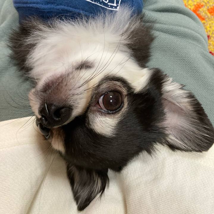 2d39ee2c 6ea5 4b55 84b3 c58d4f50032b 1682177677548