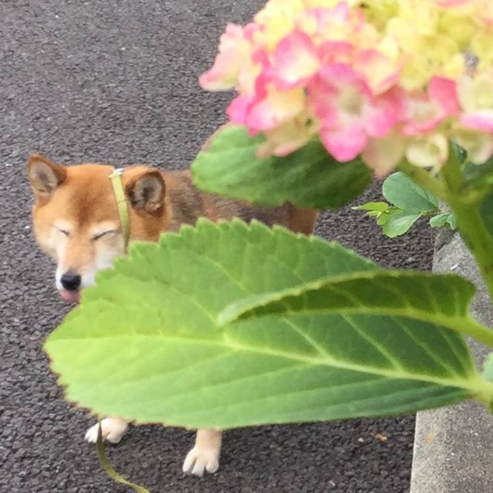 2d3a18b4 b965 4798 b29c ea0365c87ac9 1560848347836