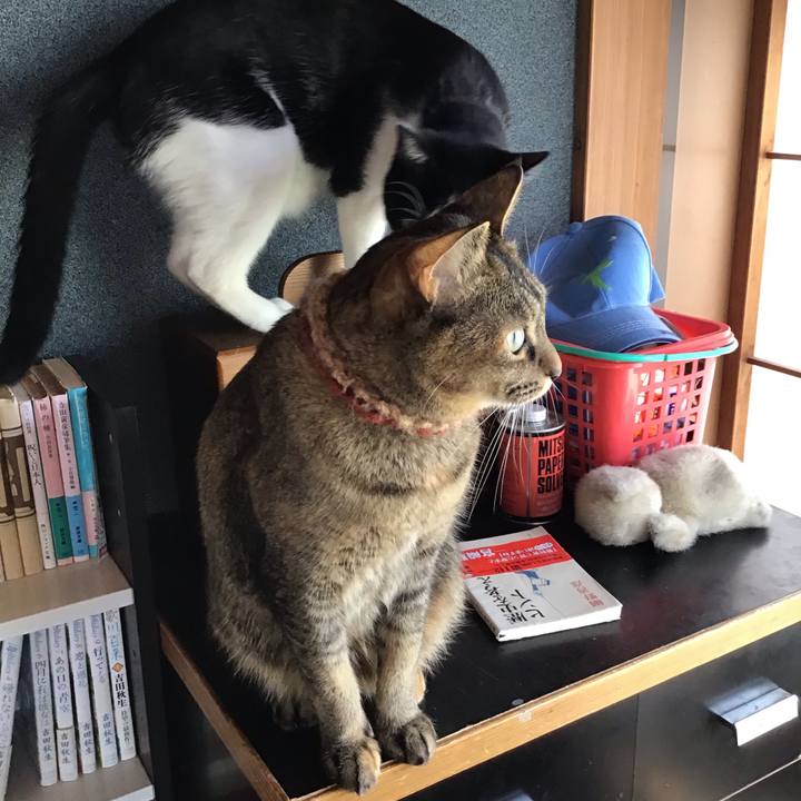 2d3a1cae 5d3c 4a82 9fd9 215178c6a49e 1636782232662