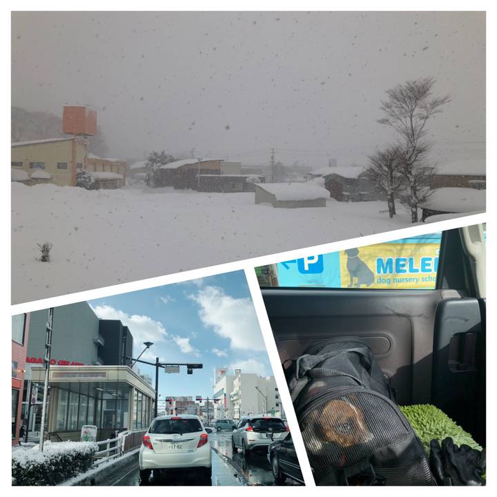 2d3a20ff 7cf2 4c48 a6c9 b1126ef09499 1547018524150