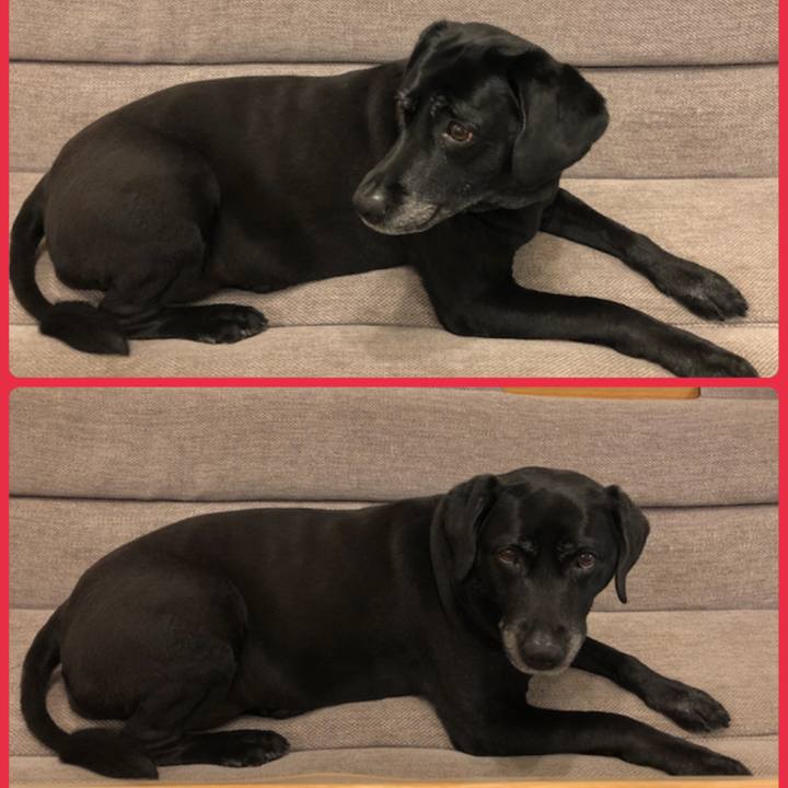 2d3a4a37 ebd1 4c6d 9326 8c7b5434372a 1560592607714