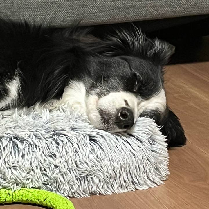 2d3a4cf0 bbe8 4f3b a145 9877f3be6fdd 1768226612226