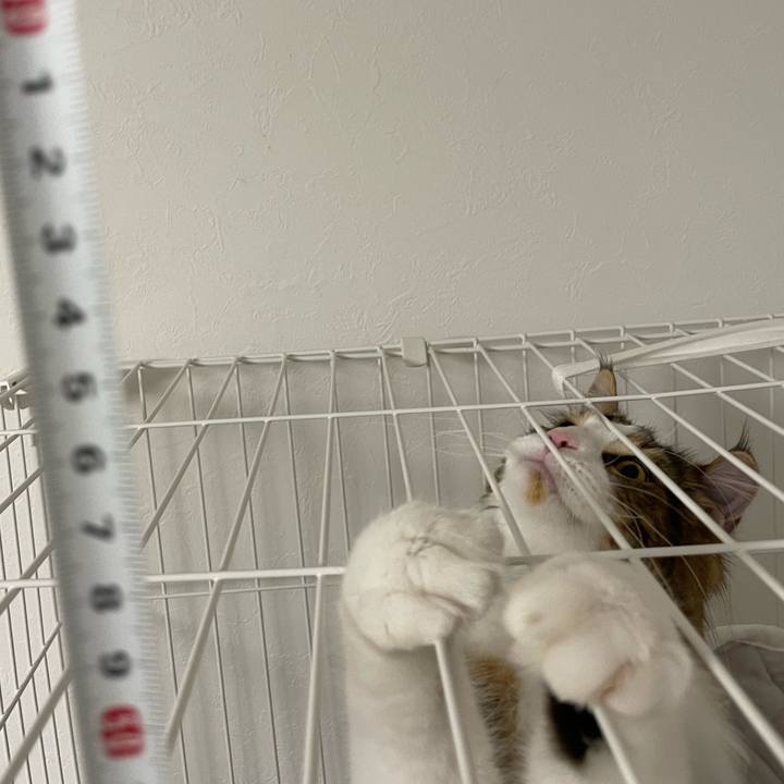 2d3a7b50 41df 48a9 9450 1fcb04ad2f02 1647348011483