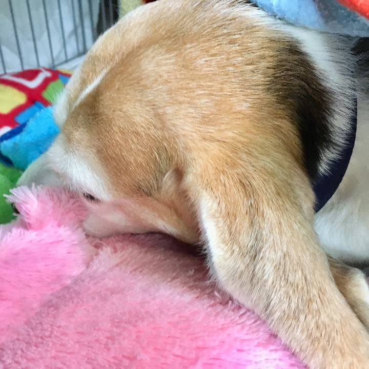 2d3ac361 ae57 451c a632 4762d79f6f35 1551069668646