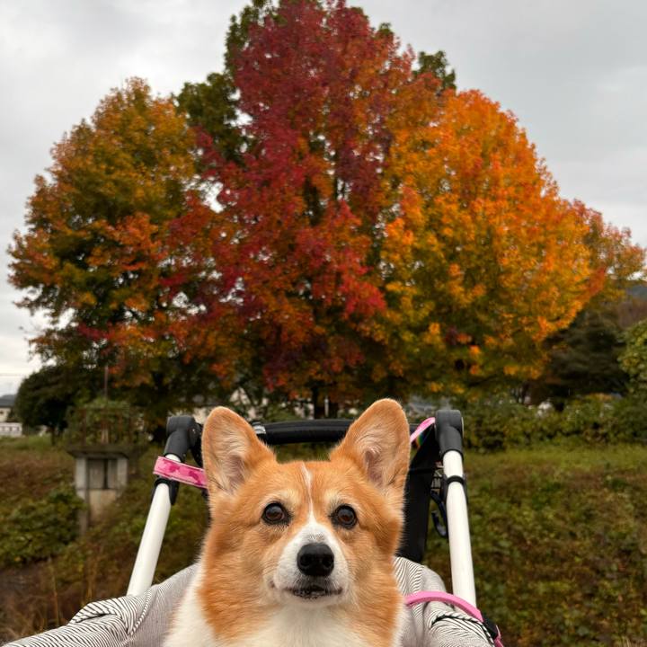 2d3adacc 0ee8 45ee 855f f6ae3591b679 1731724711725