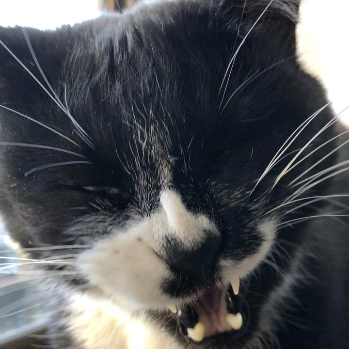 2d3b0f63 61c3 444e 891e a1147f9eda58 1611377375248