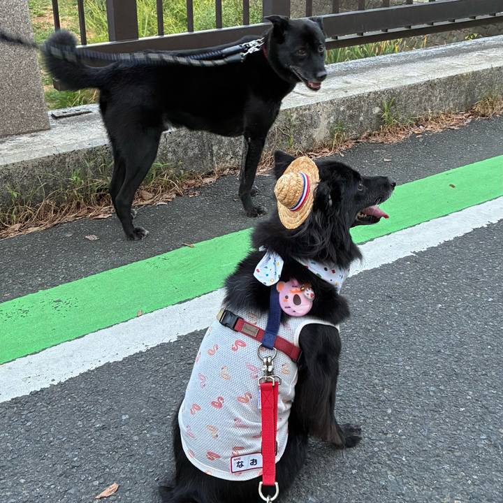 2d3b7634 e75d 407e ab04 923bbef16443 1757253492324