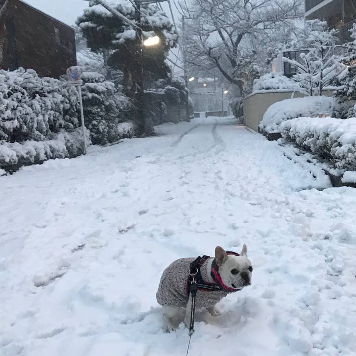 2d3b87e7 4c75 4cbf b705 6ac59c9a1a1a 1516625922507