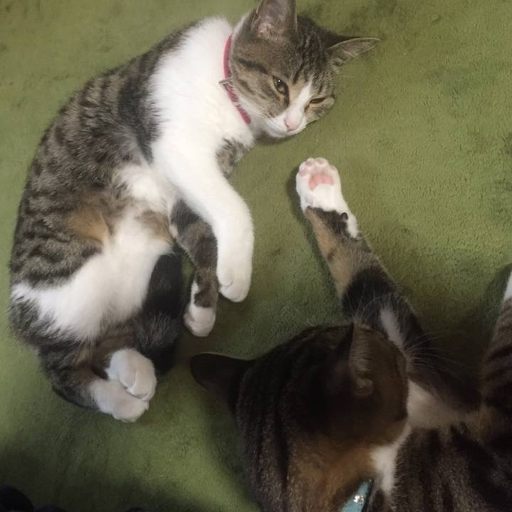 2d3b978f 604b 4d4c aea9 77eaa05c81d0 1660084103610