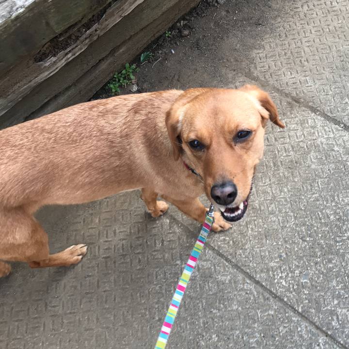 2d3baffa 36d3 43a9 ae39 45f47c2dd3a8 1550056964968