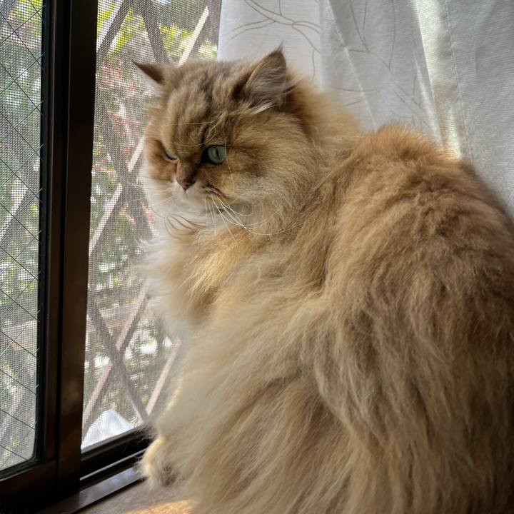 2d3bcc8f 593e 4861 82b8 4c3413f97518 1739700240005