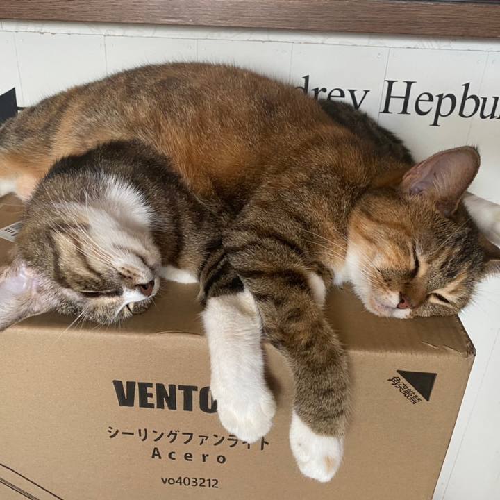 2d3bddc5 56f0 412b 897d 7bf40751ee46 1598576334458