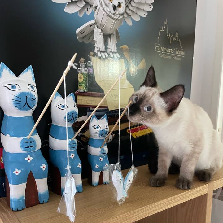 2d3be31c 55ed 4271 a69b 69164d162477 1692077901950