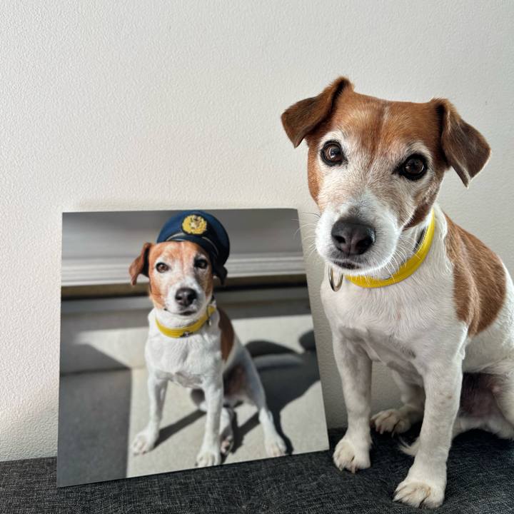 2d3bfb6b ab37 470b b9c7 7f948f111938 1763260728482