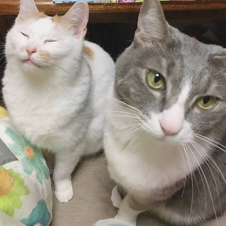 2d3bfec7 d8a9 475f 8f77 77ec6fe83a3c 1582973852472