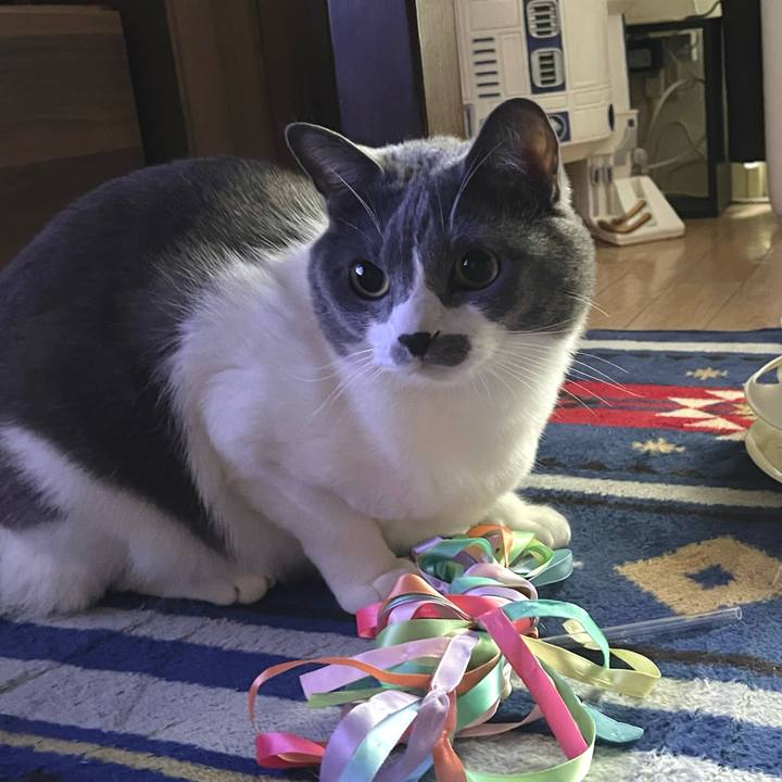 2d3c0256 451d 48e1 9688 fc616b42c073 1665099072774