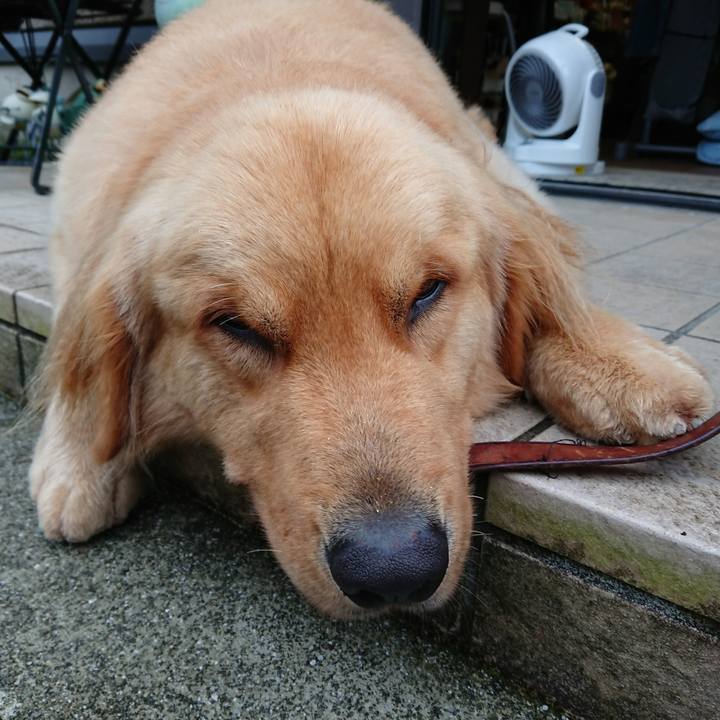 2d3c04d1 7002 4001 b0ca 83281c2ac640 1529451590794