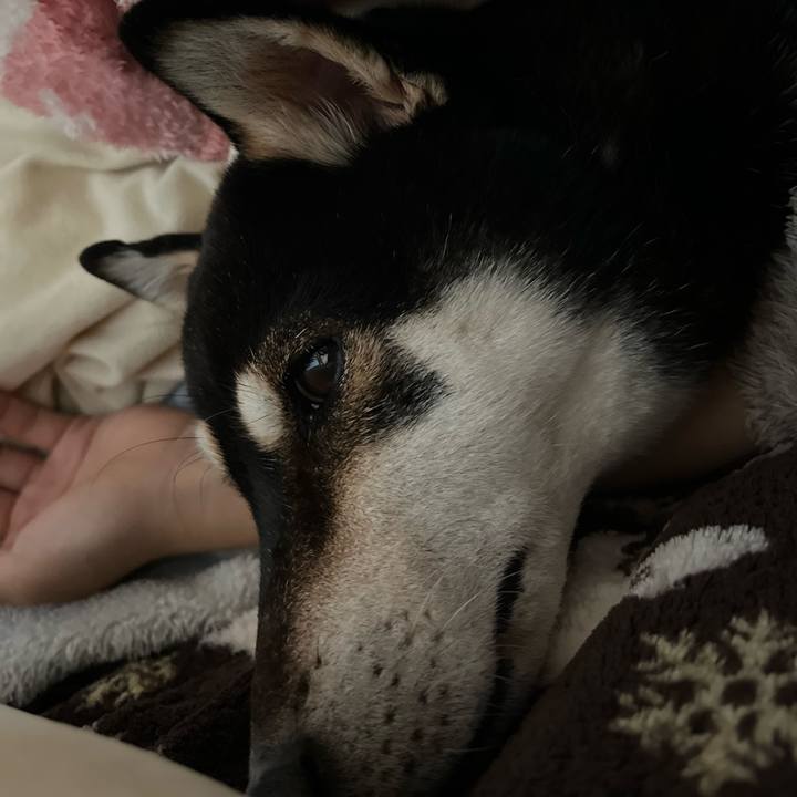 2d3c1c20 c39b 4890 be5b a0df5b19c554 1638057999779