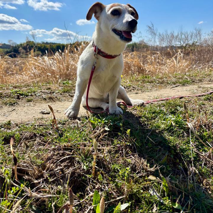 2d3c3669 5b39 425c 83a6 a5b9560261dc 1773642585340