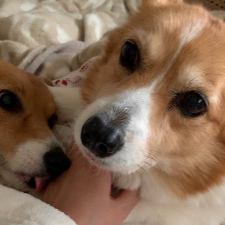 2d3c5233 1c90 465b b685 5fb469a08699 1700219776625