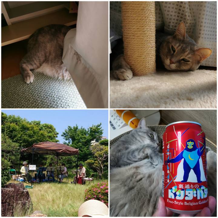 2d3c77c5 705e 4837 8c61 6e448656e672 1653224919736