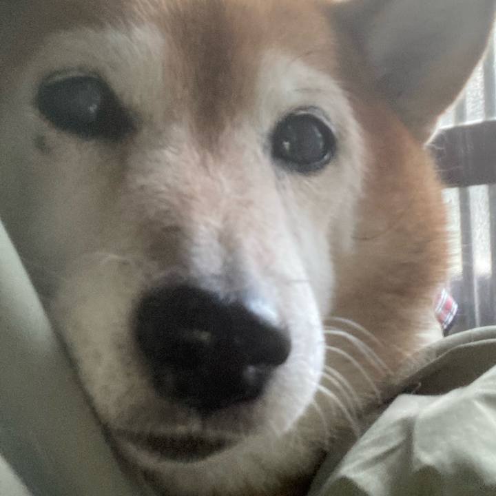 2d3c7b31 ba52 4709 b1fe 127a7e731a36 1698047837297