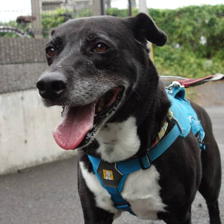 2d3ca10a 7f98 4e81 9e09 f5c432c6439e 1718928600380