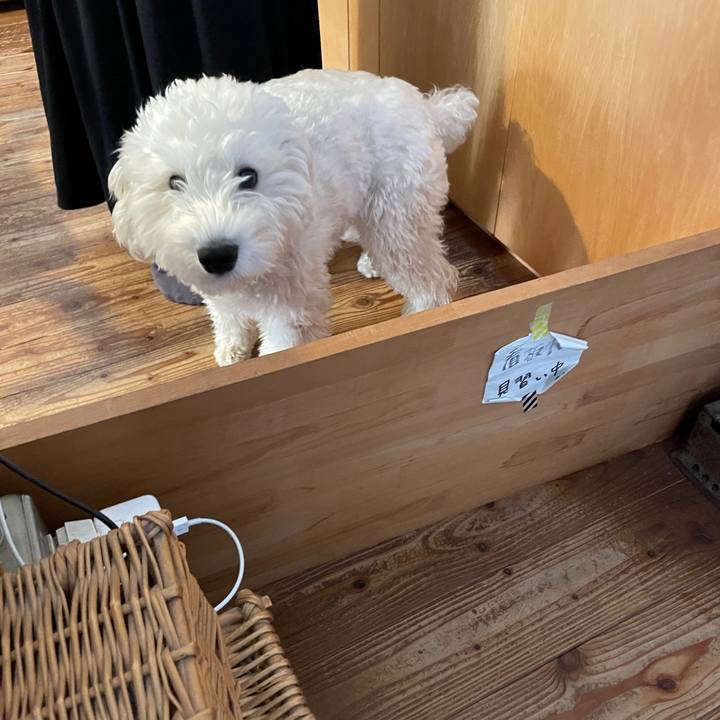 2d3ca1a9 d20e 4684 b310 78600057fc7c 1668617884363