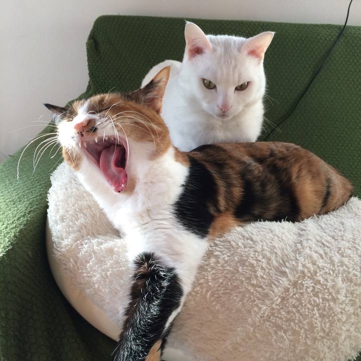 2d3caca6 927a 410d a447 69b117078939 1520119038753