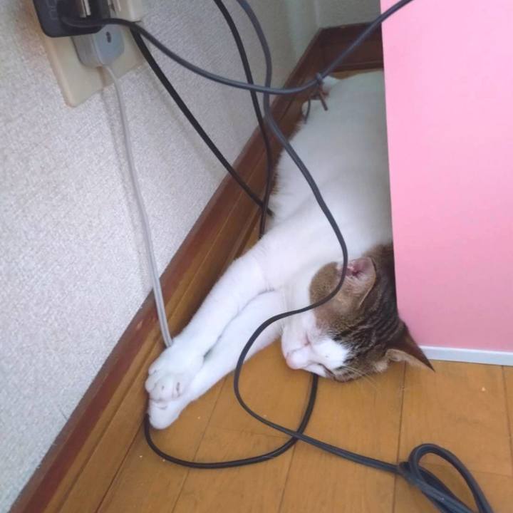 2d3cd542 b136 497c 9bc9 10addf52e89e 1723532402854