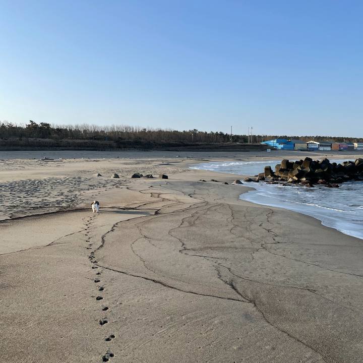 2d3ce672 2b75 4a57 8aaa a0721d546871 1615416199297