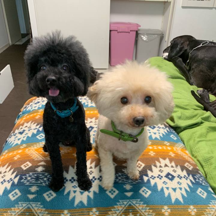 2d3d3a69 14b9 4199 a249 6ef477b5bbb2 1570746643453