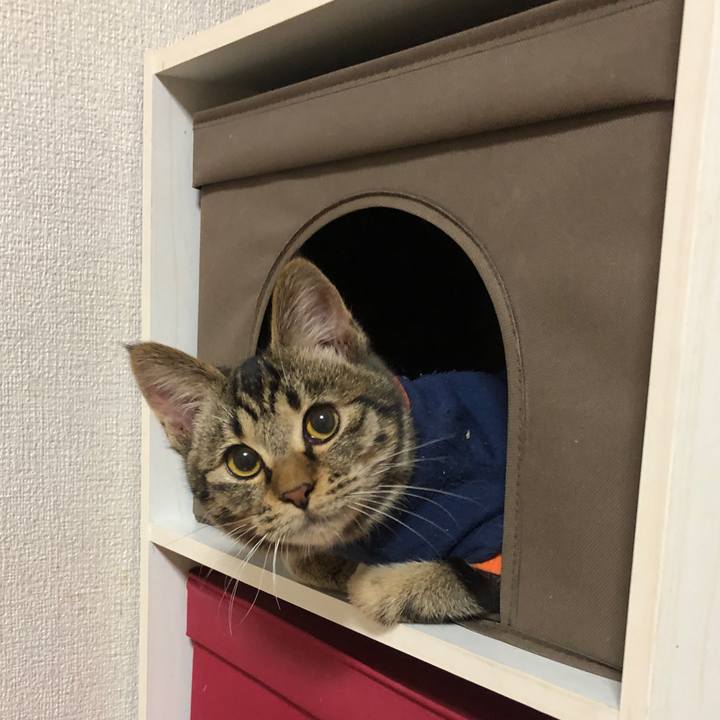 2d3d46a8 8c77 4447 ab76 ba4c79744502 1734639955332