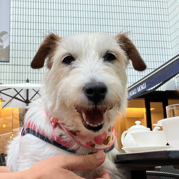 2d3d6685 d5d9 49f0 8d8f eaab4cc9e548 1687703400647